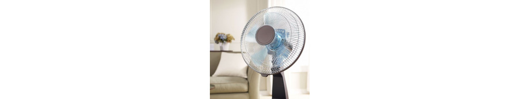 Fans
